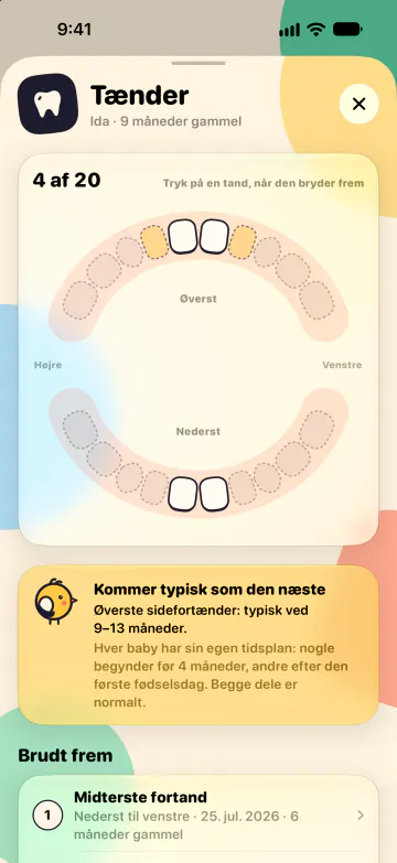Tandoversigt