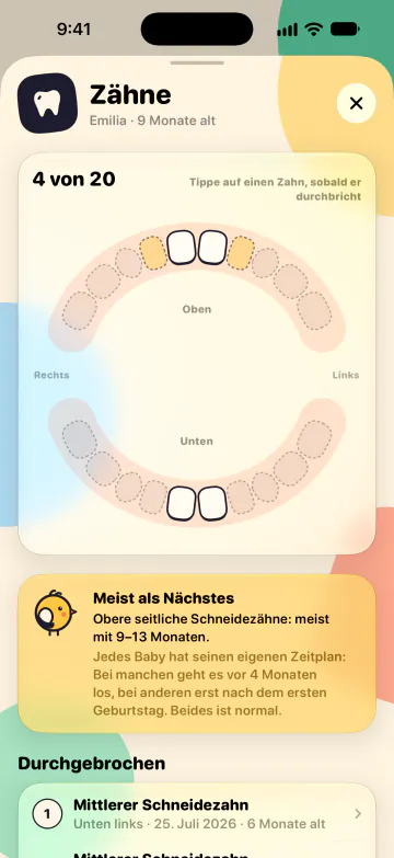 Zahnkalender