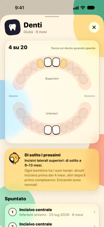 Mappa dei denti