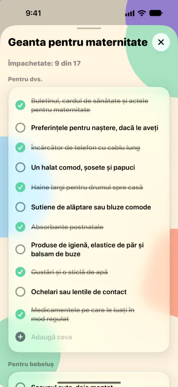 Geanta pentru maternitate