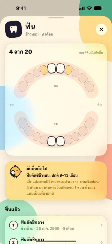 แผนภูมิฟัน