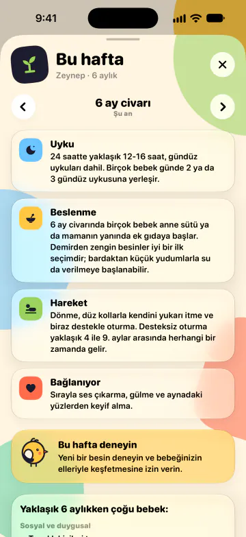 Gelişim adımları