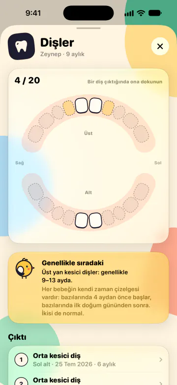 Diş haritası