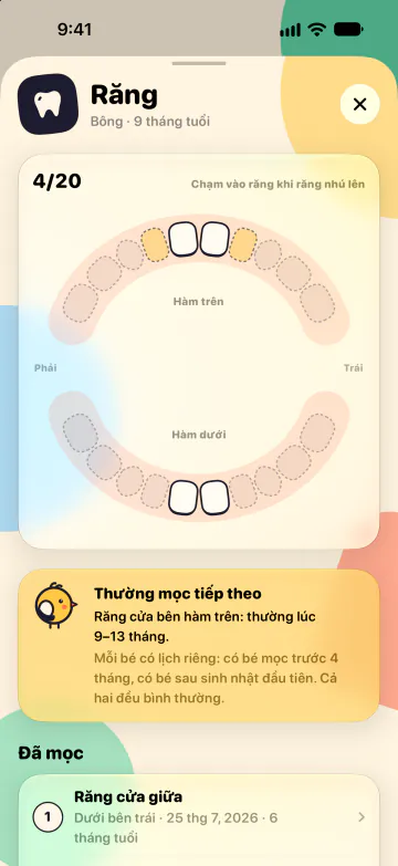 Biểu đồ mọc răng